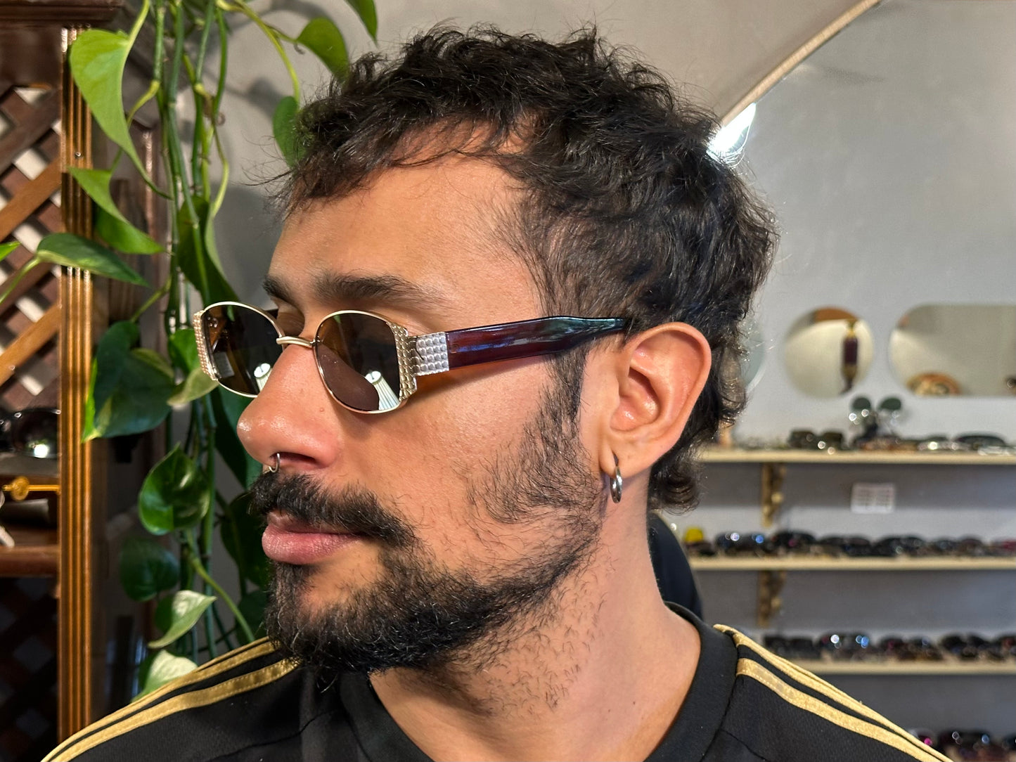 alfredo