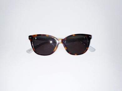 ray ban apx