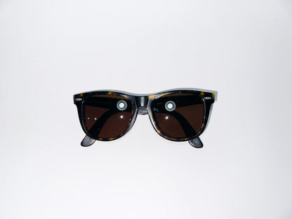 ray ban wayfarer