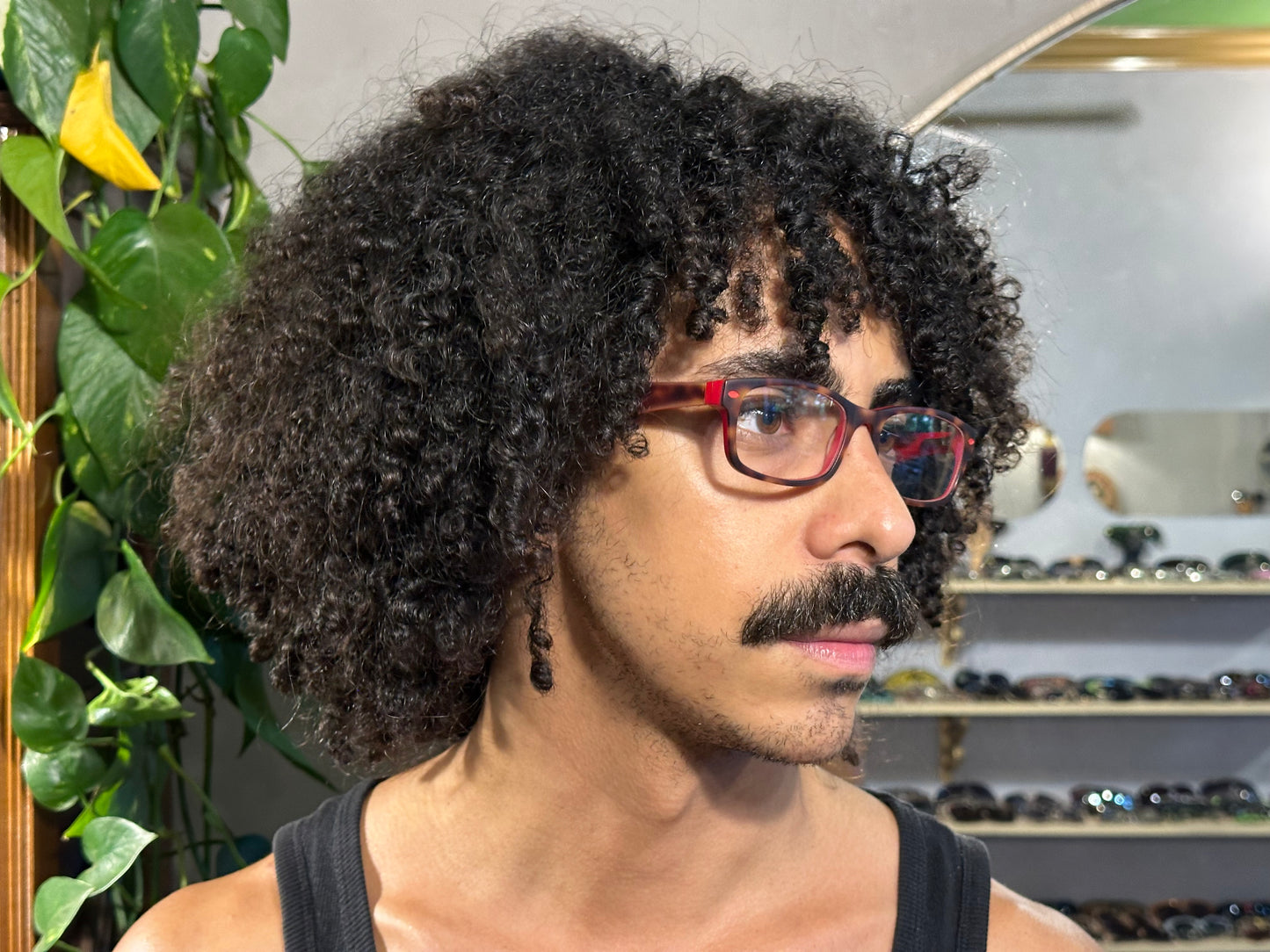onça rouge